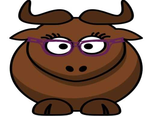Bull Touch