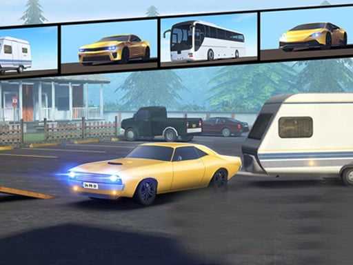 Car Parking Pro   Park