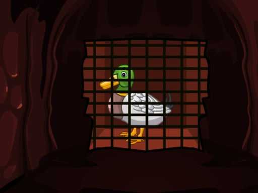 Hungry Duck Rescue