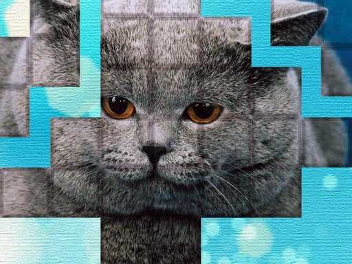 PicPu   Cat Puzzle